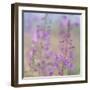 Canada, Yukon. Fireweed plant in bloom.-Jaynes Gallery-Framed Photographic Print