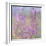 Canada, Yukon. Fireweed plant in bloom.-Jaynes Gallery-Framed Photographic Print