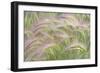 Canada, Yukon. Foxtail grass close-up.-Jaynes Gallery-Framed Photographic Print