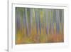 Canada, Yukon, Kluane National Park. Abstract motion blur of aspen trees.-Jaynes Gallery-Framed Photographic Print