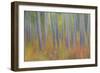 Canada, Yukon, Kluane National Park. Abstract motion blur of aspen trees.-Jaynes Gallery-Framed Photographic Print