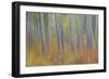 Canada, Yukon, Kluane National Park. Abstract motion blur of aspen trees.-Jaynes Gallery-Framed Photographic Print