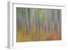 Canada, Yukon, Kluane National Park. Abstract motion blur of aspen trees.-Jaynes Gallery-Framed Photographic Print