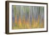 Canada, Yukon, Kluane National Park. Abstract of aspen trees.-Jaynes Gallery-Framed Photographic Print