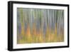 Canada, Yukon, Kluane National Park. Abstract of aspen trees.-Jaynes Gallery-Framed Photographic Print