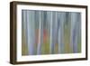 Canada, Yukon, Kluane National Park. Abstract of aspen trees.-Jaynes Gallery-Framed Photographic Print