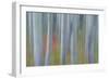 Canada, Yukon, Kluane National Park. Abstract of aspen trees.-Jaynes Gallery-Framed Photographic Print