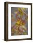 Canada, Yukon, Kluane National Park. Balsam poplar leaves.-Jaynes Gallery-Framed Photographic Print