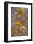 Canada, Yukon, Kluane National Park. Balsam poplar leaves.-Jaynes Gallery-Framed Photographic Print