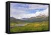 Canada, Yukon. Landscape of Tombstone Range and North Klondike River.-Jaynes Gallery-Framed Stretched Canvas