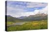 Canada, Yukon. Landscape of Tombstone Range and North Klondike River.-Jaynes Gallery-Stretched Canvas