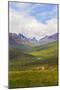 Canada, Yukon. Landscape of Tombstone Range and North Klondike River.-Jaynes Gallery-Mounted Photographic Print