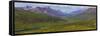 Canada, Yukon. Panorama of Tombstone Range and North Klondike River.-Jaynes Gallery-Framed Stretched Canvas