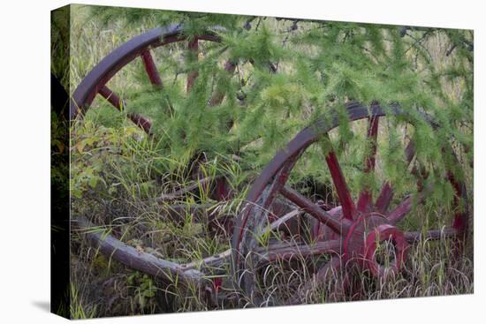 Canada, Yukon Territory. Old wagon wheels in grass.-Jaynes Gallery-Stretched Canvas