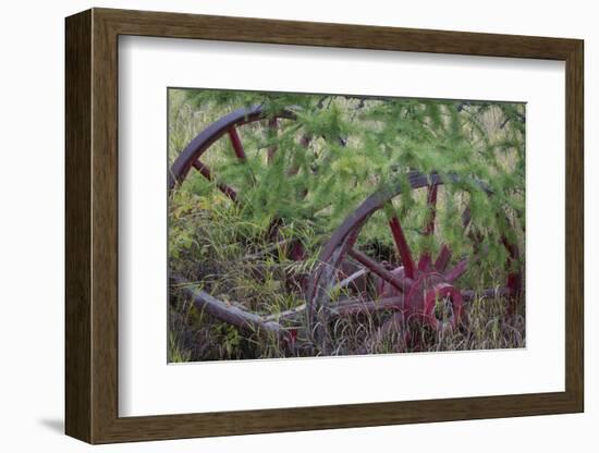 Canada, Yukon Territory. Old wagon wheels in grass.-Jaynes Gallery-Framed Photographic Print