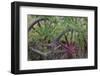 Canada, Yukon Territory. Old wagon wheels in grass.-Jaynes Gallery-Framed Photographic Print