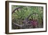 Canada, Yukon Territory. Old wagon wheels in grass.-Jaynes Gallery-Framed Photographic Print