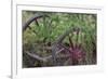 Canada, Yukon Territory. Old wagon wheels in grass.-Jaynes Gallery-Framed Photographic Print