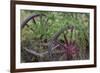 Canada, Yukon Territory. Old wagon wheels in grass.-Jaynes Gallery-Framed Photographic Print