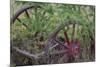 Canada, Yukon Territory. Old wagon wheels in grass.-Jaynes Gallery-Mounted Photographic Print