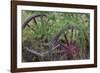 Canada, Yukon Territory. Old wagon wheels in grass.-Jaynes Gallery-Framed Photographic Print