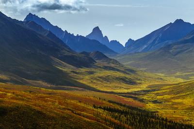 https://imgc.allpostersimages.com/img/posters/canada-yukon-tombstone-territorial-park-fall-color-and-mountain-valley-views_u-L-Q1GSFG10.jpg?artPerspective=n