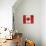 Canada-Artpoptart-Stretched Canvas displayed on a wall