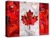 Canada-Artpoptart-Stretched Canvas