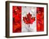 Canada-Artpoptart-Framed Giclee Print