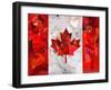 Canada-Artpoptart-Framed Giclee Print