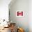 Canada-Artpoptart-Framed Giclee Print displayed on a wall