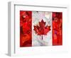 Canada-Artpoptart-Framed Giclee Print