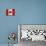 Canada-Artpoptart-Mounted Giclee Print displayed on a wall