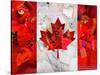 Canada-Artpoptart-Stretched Canvas