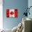 Canada-Artpoptart-Giclee Print displayed on a wall