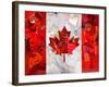 Canada-Artpoptart-Framed Giclee Print