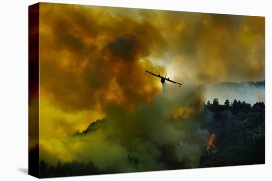 Canadair Aircraft in Action - Fighting for the Salvation of the Forest.-Antonio Grambone-Stretched Canvas