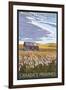 Canadas Praires - Land of Living Skies - Wheat Field and Shack-Lantern Press-Framed Art Print