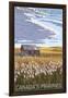 Canadas Praires - Land of Living Skies - Wheat Field and Shack-Lantern Press-Framed Art Print