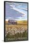 Canadas Praires - Land of Living Skies - Wheat Field and Shack-Lantern Press-Stretched Canvas