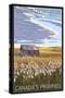 Canadas Praires - Land of Living Skies - Wheat Field and Shack-Lantern Press-Stretched Canvas