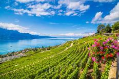 Idyllic Summer Landscape in the Alps with Fresh Green Mountain Pastures and Snow-Capped Mountain To-canadastock-Photographic Print