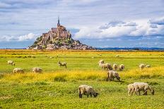 Idyllic Summer Landscape in the Alps with Fresh Green Mountain Pastures and Snow-Capped Mountain To-canadastock-Photographic Print