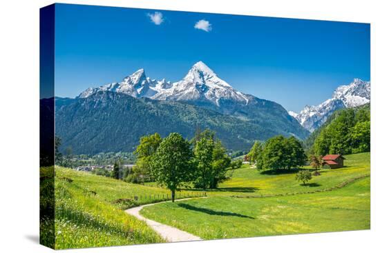 Stretched Canvas Print, , large