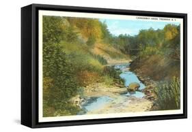 Canadaway Creek, Fredonia, New York-null-Framed Stretched Canvas