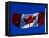Canadian Flag, Canada-John Warburton-lee-Framed Stretched Canvas