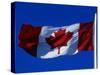 Canadian Flag, Canada-John Warburton-lee-Stretched Canvas