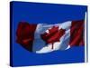 Canadian Flag, Canada-John Warburton-lee-Stretched Canvas