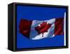 Canadian Flag, Canada-John Warburton-lee-Framed Stretched Canvas