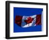 Canadian Flag, Canada-John Warburton-lee-Framed Photographic Print